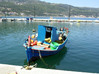 Vissersbootje in de haven van Samos stad
